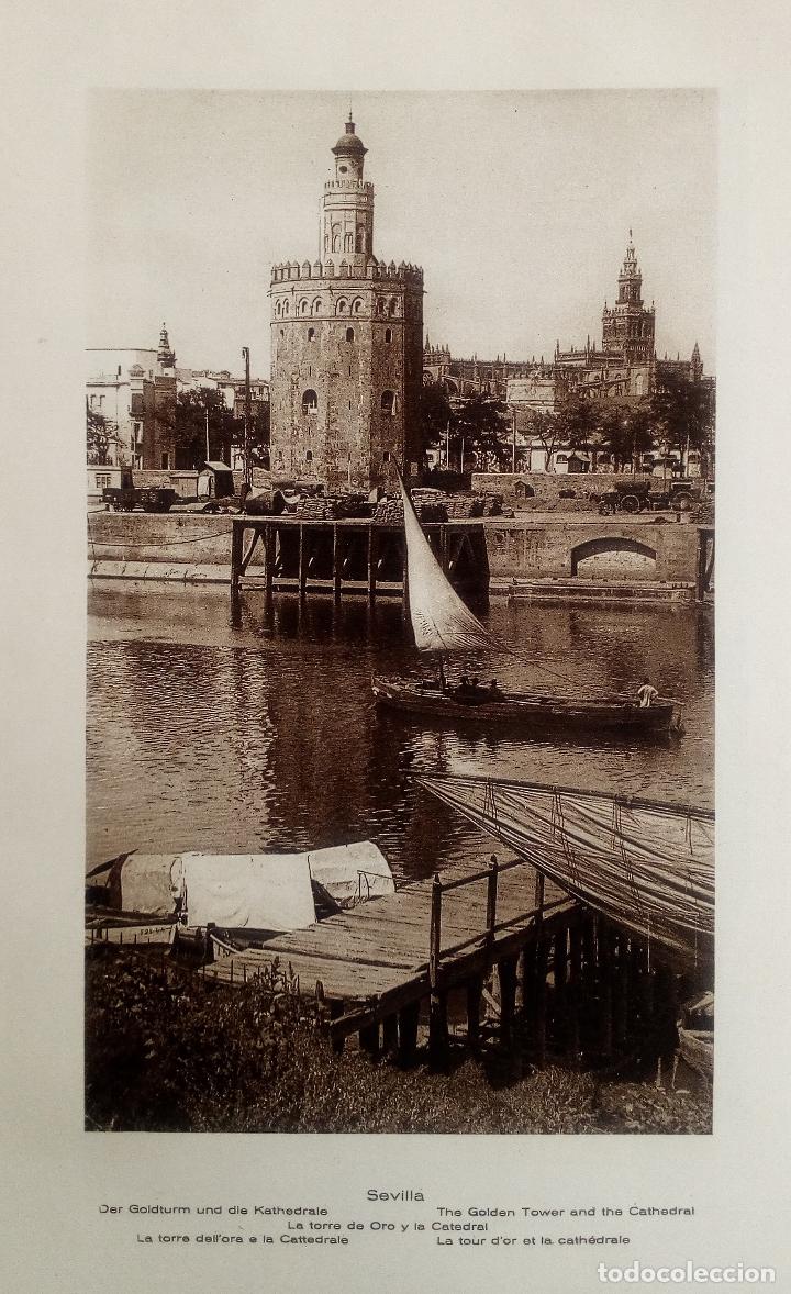 Coleccionismo: SEVILLA, TORRE DEL ORO, CATEDRAL Y FACHADA DEL AYUNTAMIENTO - LAMINA DE 1922