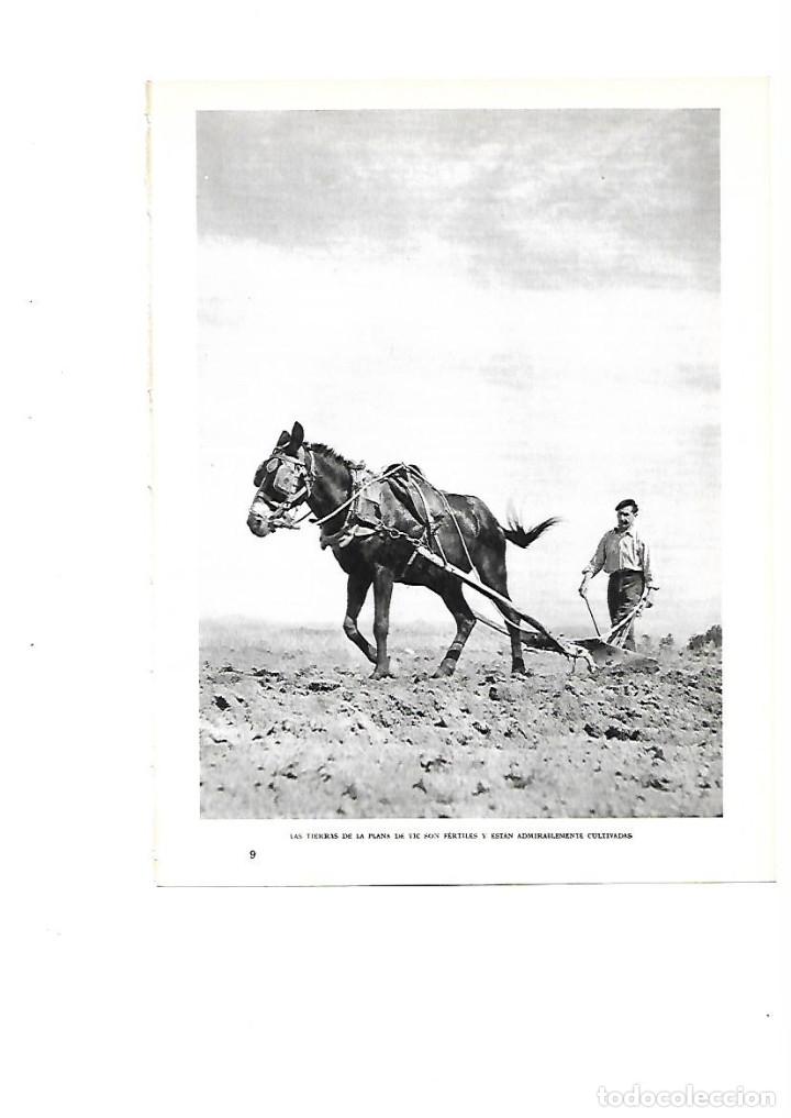 Sammelleidenschaft Papier: A&Ntilde;O 1961 RECORTE PRENSA FOTOGRAFIA ARADO CON ANIMALES TRABAJOS DEL CAMPO PLANA DE VIC