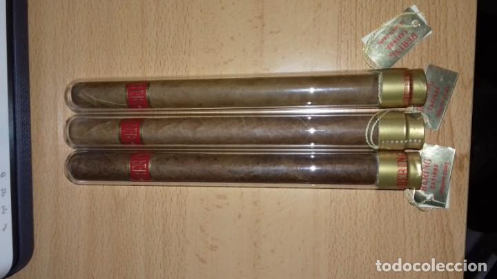 Coleccionismo: BERING 3 PUROS - Foto 1