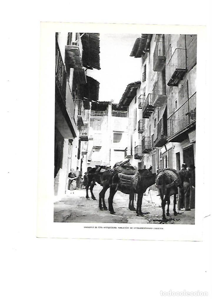 Collezionismo: A&Ntilde;O 1961 RECORTE PRENSA FOTOGRAFIA ORGANYA MULAS BURROS EN LAS CALLES HOMILIES