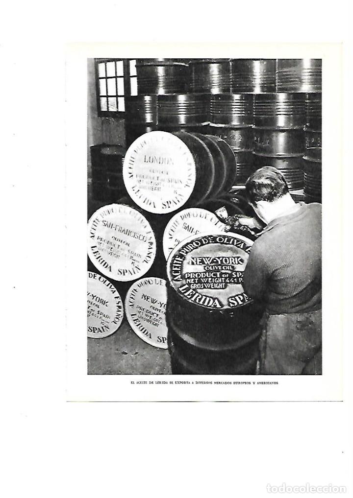 Colecionismo: A&Ntilde;O 1961 RECORTE PRENSA FOTOGRAFIA LERIDA LLEIDA EXPORTACION ACEITE PURO DE OLIVA COOPERATIVA