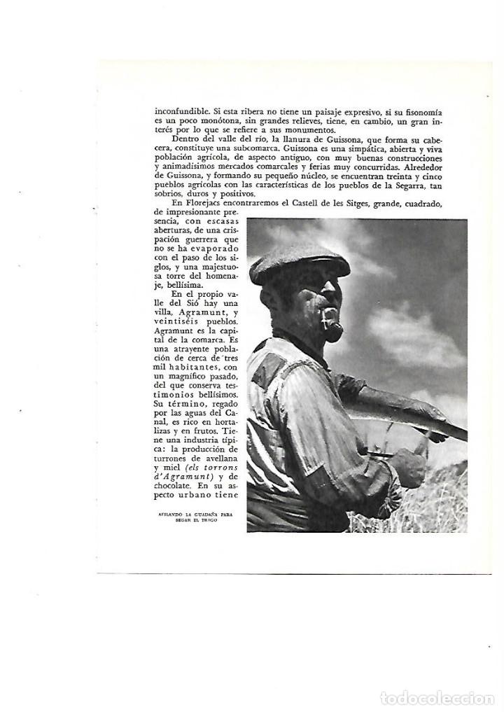 Colecionismo: A&Ntilde;O 1961 RECORTE PRENSA FOTOGRAFIA TRABAJOS DEL CAMPO AFILANDO LA GUADA&Ntilde;A SIEGA TRIGO