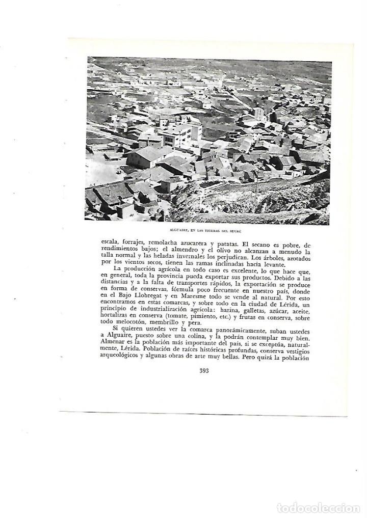 Colecionismo: A&Ntilde;O 1961 RECORTE PRENSA FOTOGRAFIA ALGUAIRE VISTA GENERAL