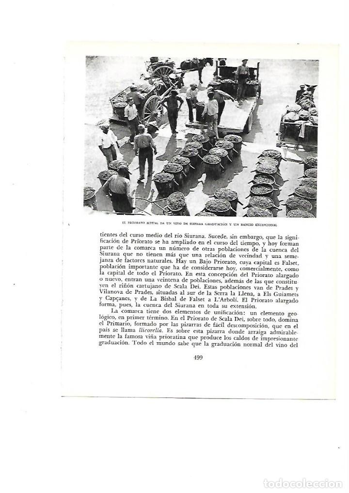 Collecting paper: A&Ntilde;O 1961 RECORTE PRENSA FOTOGRAFIA PRIORAT EL PRIORATO VENTA DE LA UVA PARA EL VINO CARROS