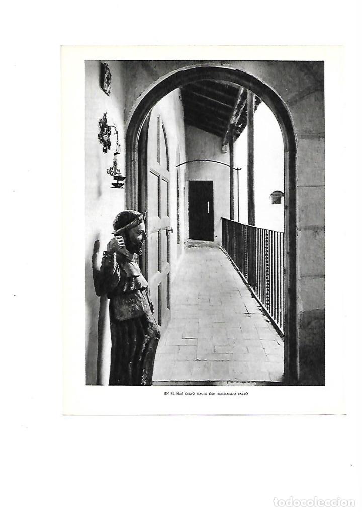 Collezionismo: A&Ntilde;O 1961 RECORTE PRENSA FOTOGRAFIA REUS MAS CALVO DONDE NACIO SAN BERNARDO CALVO