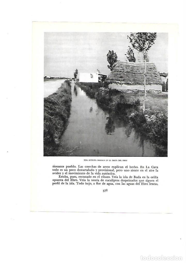 Collezionismo: A&Ntilde;O 1961 RECORTE PRENSA FOTOGRAFIA DELTA DE L'EBRE DEL EBRO ANTIGUA BARRACA ENCANYISSADA PESCA