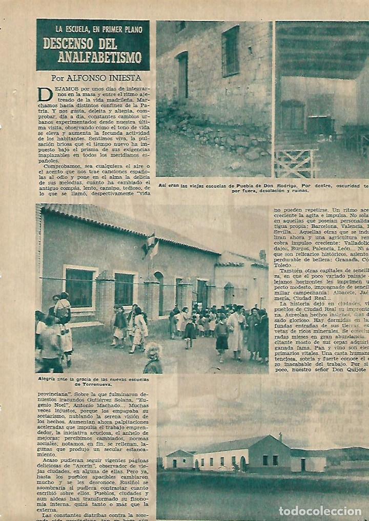 Sammelleidenschaft Papier: A&Ntilde;O 1955 RECORTE PRENSA  EDUCACION ESCUELA PUEBLA DE DON RODRIGO TORRENUEVA PICON MIGUELTURRA