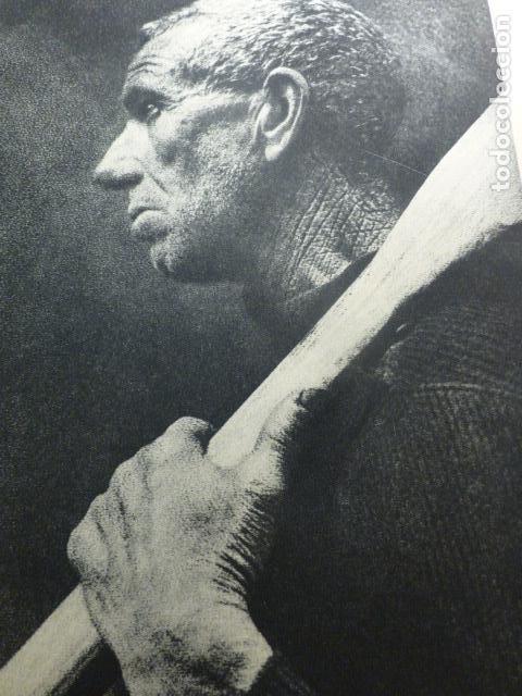 Collectionnisme: GUIPUZCOA UN PESCADOS VASCO ANTIGUA LAMINA HUECOGRABADO 1933 21 X 29 CMTS