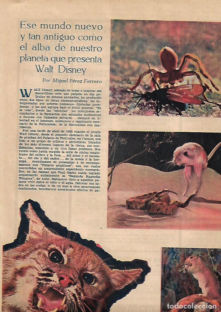 Colecionismo: A&Ntilde;O 1955 RECORTE PRENSA CINE SERES PLANETA PRESENTADO POR WALT DISNEY ANIMALES