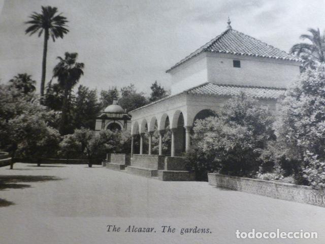 Collezionismo: SEVILLA REALES ALCAZARES JARDINES ANTIGUO HUECOGRABADO A&Ntilde;OS 30