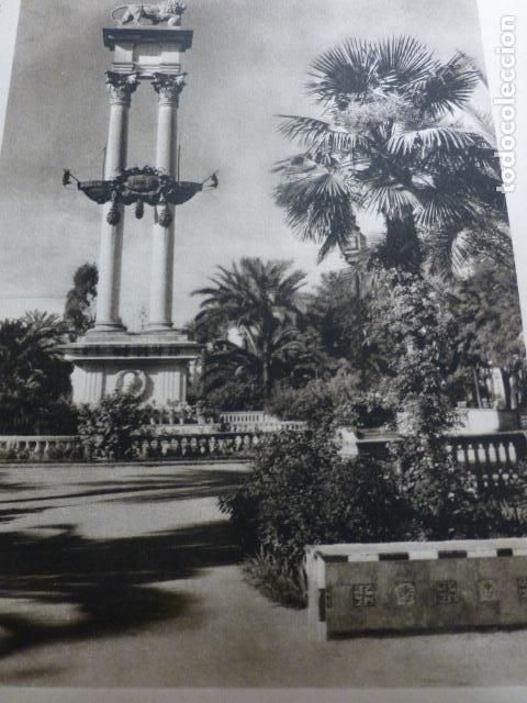 Collezionismo: SEVILLA PARQUE MURILLO ANTIGUO HUECOGRABADO A&Ntilde;OS 30