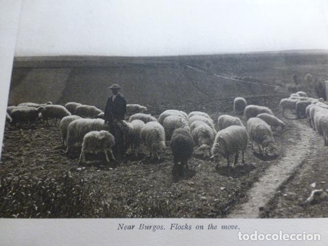 Collezionismo: BURGOS PASTOR CON REBA&Ntilde;O ANTIGUO HUECOGRABADO A&Ntilde;OS 30