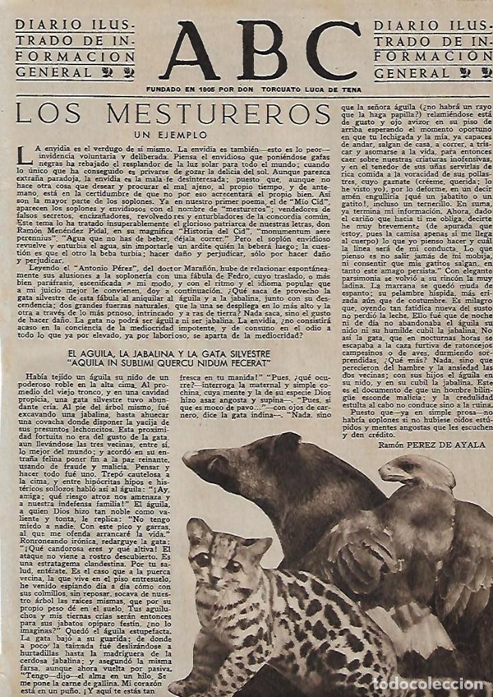 Coleccionismo: A&Ntilde;O 1956 RECORTE PRENSA LOS MESTUREROS EL AGUILA LA JABALINA LA GATA SILVESTRE