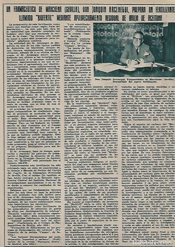 Collezionismo: A&Ntilde;O 1956 RECORTE PRENSA MARCHENA SEVILLA FARMACEUTICO JOAQUIN ARCENEGUI BIOFERTIL FERTILIZANTE