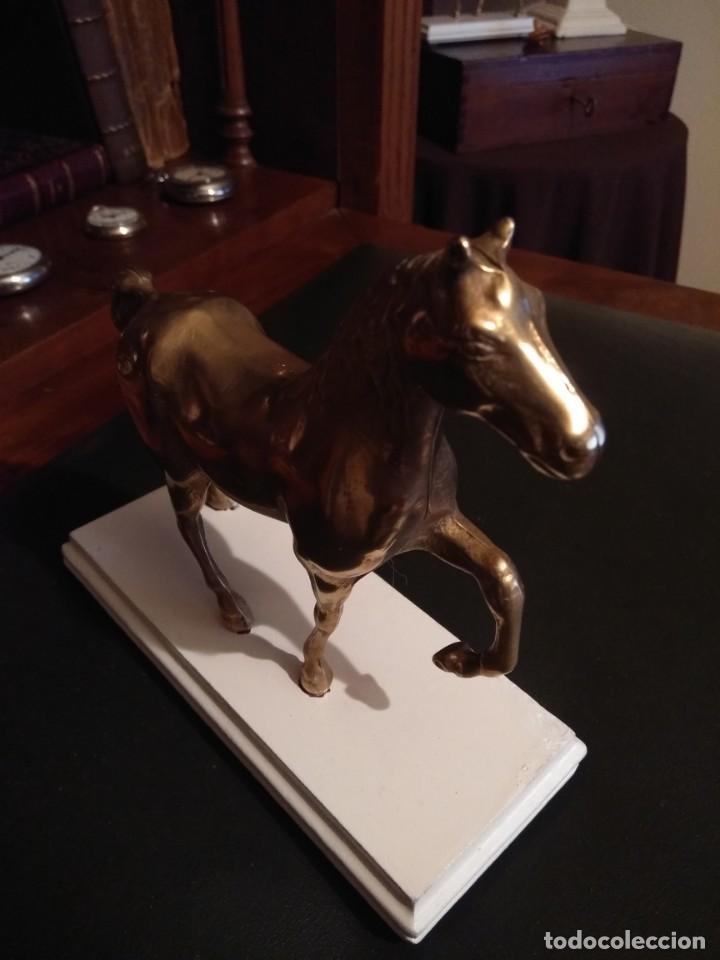 Coleccionismo: Figura de bronce CABALLO - Foto 7