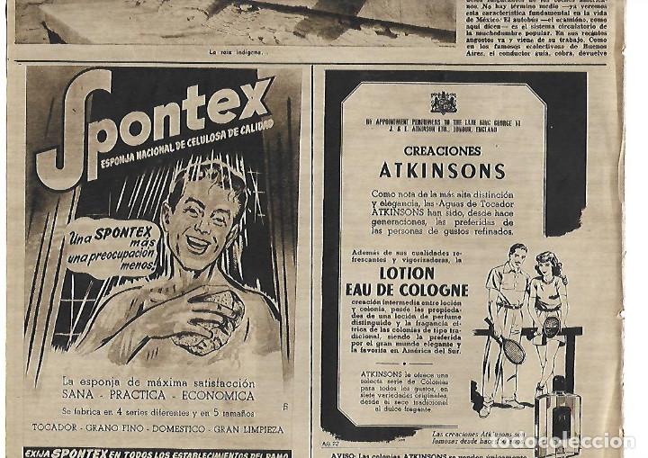 Coleccionismo: A&Ntilde;O 1952 RECORTE PRENSA PUBLICIDAD SPONTEX ESPONJA NACIONAL DE CELULOSA