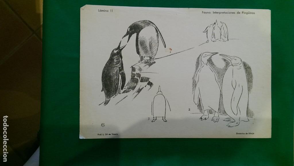 Coleccionismo: ANTIGUA L&Aacute;MINA DE DIBUJO &laquo;INTERPRETACI&Oacute;N DE PING&Uuml;INOS&raquo;