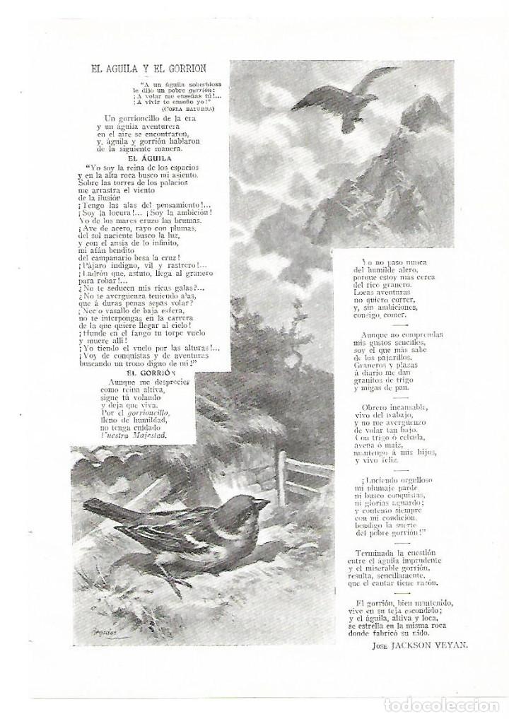 Collectionnisme: A&Ntilde;O 1913 RECORTE PRENSA POESIA EL AGUILA Y EL GORRION JOSE JACKSON VEYAN DIBUJO REGIDOR ILUSTRACION