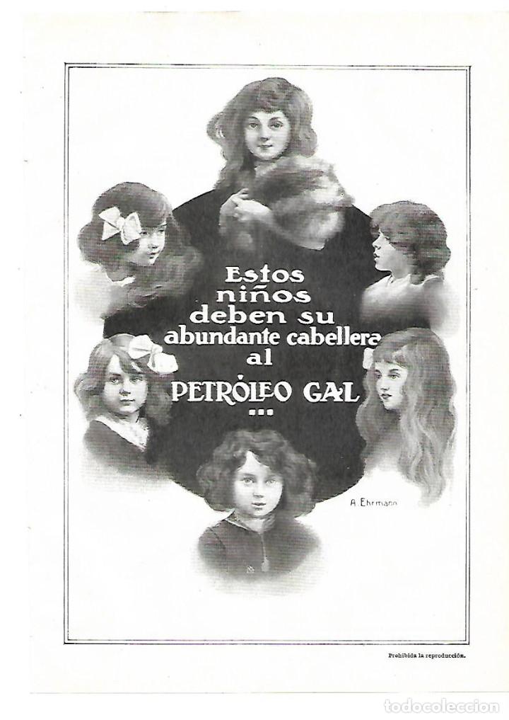 Coleccionismo: A&Ntilde;O 1913 RECORTE PRENSA PUBLICIDAD PETROLEO GAL PARA EL CABELLO