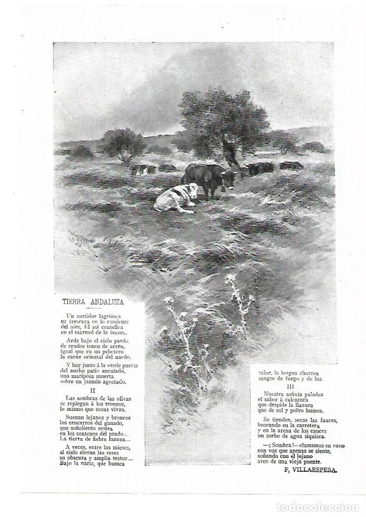 Collectionnisme: A&Ntilde;O 1913 RECORTE PRENSA POESIA TIERRA ANDALUZA POR FRANCISCO VILLAESPESA DIBUJO REGIDOR ILUSTRACION