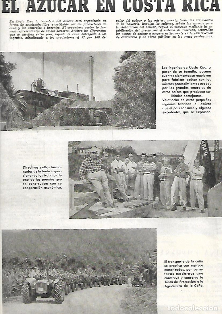 Collezionismo: A&Ntilde;O 1959 RECORTE PRENSA EL AZUCAR EN COSTA RICA  FABRICA TRANSPORTE DE LA CA&Ntilde;A DE AZUCAR