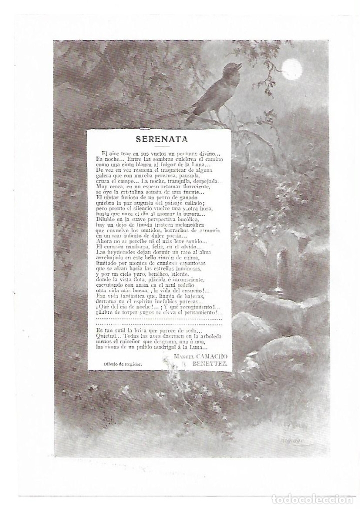 Colecionismo: A&Ntilde;O 1913 RECORTE PRENSA POESIA SERENATA POR MANUEL CAMACHO BENEYTEZ DIBUJO REGIDOR ILUSTRACION