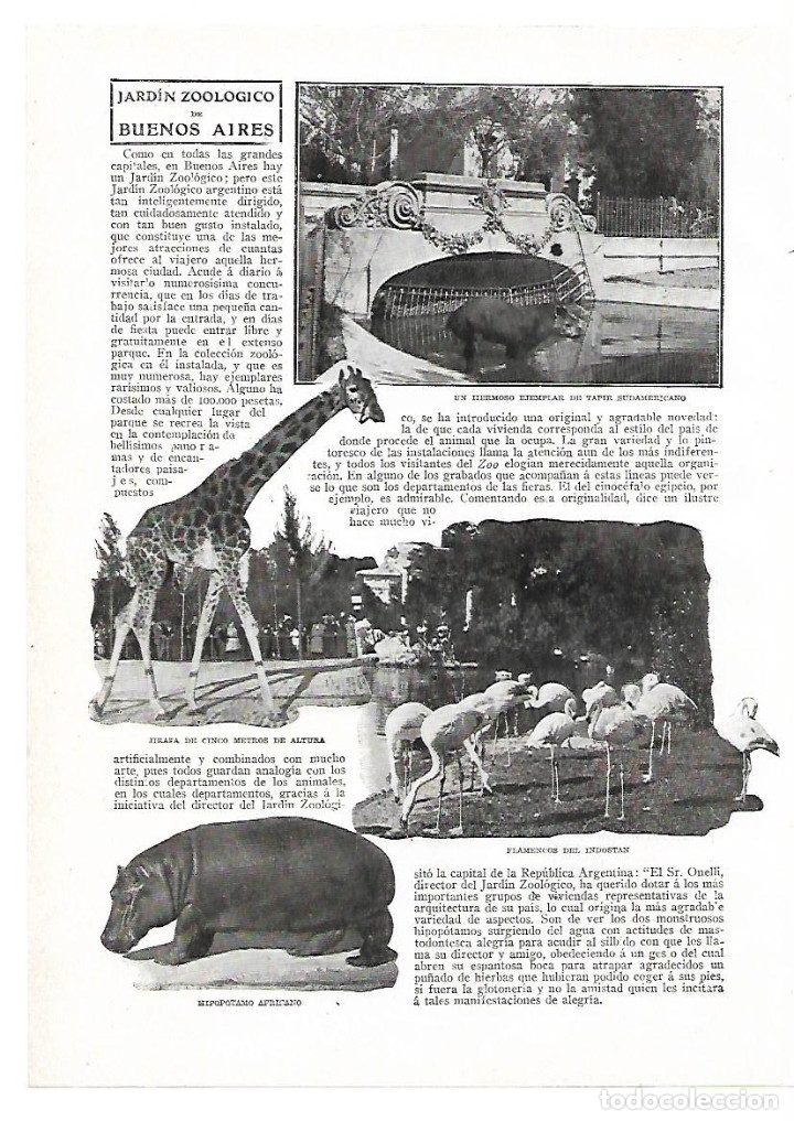 Collectionnisme: A&Ntilde;O 1913 RECORTE PRENSA ARGENTINA ZOO PARQUE JARDIN ZOOLOGICO BUENOS AIRES ANIMALES