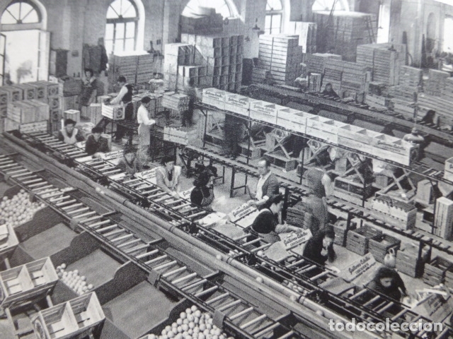 Sammelleidenschaft Papier: VALENCIA LIMPIEZA Y EMPAQUETADO DE NARANJAS ANTIGUA LAMINA HUECOGRABADO A&Ntilde;OS 50