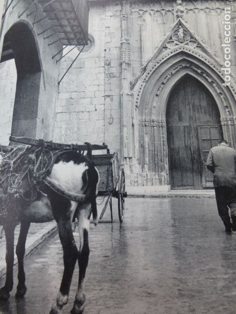 Sammelleidenschaft Papier: GANDIA VALENCIA LA COLEGIATA ANTIGUA LAMINA HUECOGRABADO A&Ntilde;OS 50