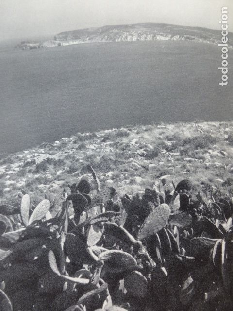 Coleccionismo: CABO DE SAN MARTIN ALICANTE ANTIGUA LAMINA HUECOGRABADO A&Ntilde;OS 50