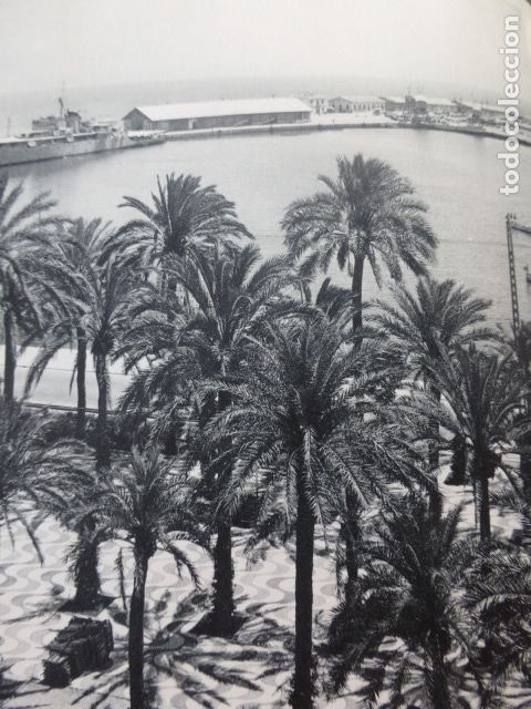 Coleccionismo: ALICANTE EXPLANADA Y PUERTO ANTIGUA LAMINA HUECOGRABADO A&Ntilde;OS 50