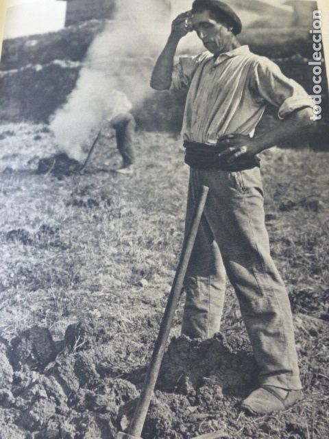 Coleccionismo: ALAVA CAMPESINO ALAVES ANTIGUA LAMINA HUECOGRABADO A&Ntilde;OS 30