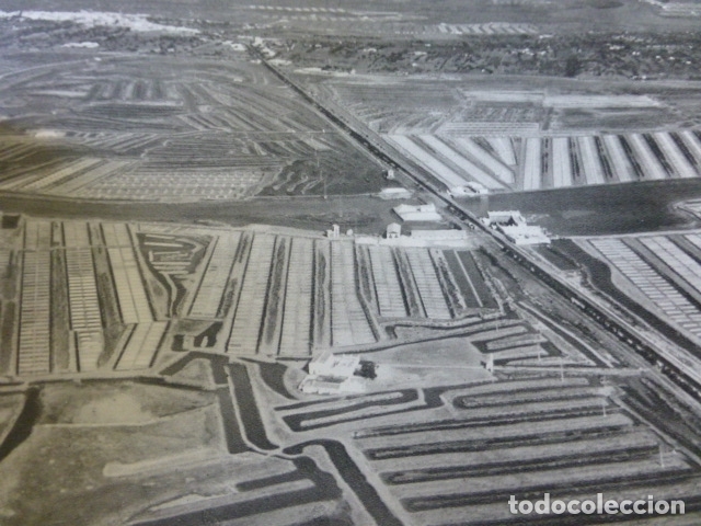 Coleccionismo: SAN FERNANDO CADIZ SALINAS ANTIGUA LAMINA HUECOGRABADO A&Ntilde;OS 50