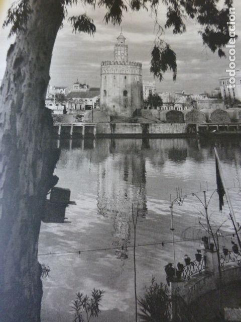 Coleccionismo: SEVILLA TORRE DEL ORO ANTIGUA LAMINA HUECOGRABADO A&Ntilde;OS 50