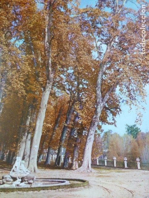 Coleccionismo: ARANJUEZ MADRID JARDINES DE LA ISLA ANTIGUA LAMINA HUECOGRABADO A&Ntilde;OS 50