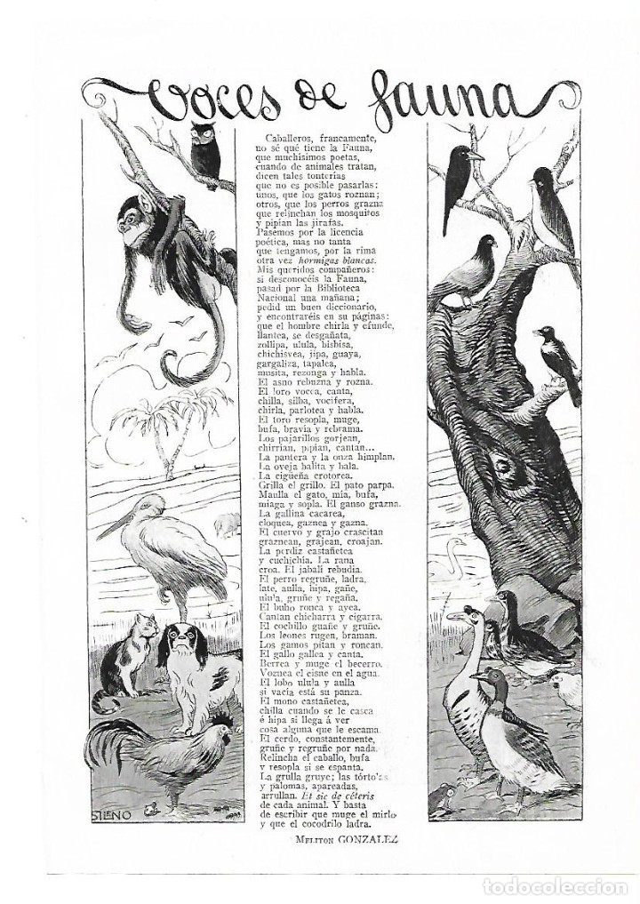 Collecting paper: A&Ntilde;O 1913 RECORTE PRENSA POESIA VOCES DE FAUNA POR MELITON GONZALEZ DIBUJO SILENO PAU PARELLADA