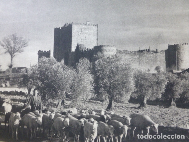 Coleccionismo: SAN MARTIN DE VALDEIGLESIAS MADRID PASTOR CON REBA&Ntilde;O CASTILLO ANTIGUA LAMINA HUECOGRABADO A&Ntilde;OS 50