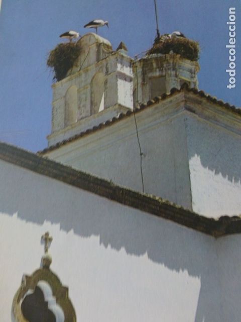 Colecionismo: MERIDA BADAJOZ DETALLE ANTIGUA LAMINA A&Ntilde;OS 60