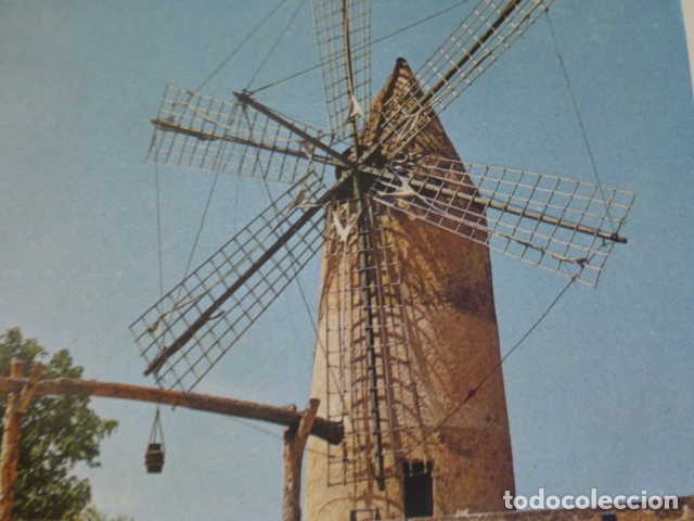 Collezionismo: MANACOR MALLORCA MOLINO ANTIGUA LAMINA A&Ntilde;OS 50