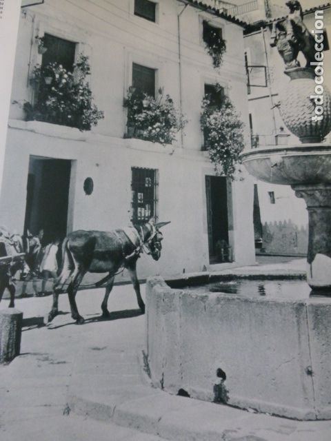 Coleccionismo: CORDOBA FUENTE DEL POTRO ANTIGUA LAMINA A&Ntilde;OS 50