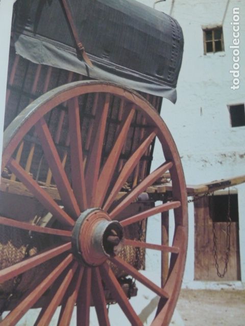 Collezionismo: TABERNAS ALMERIA CARRO ANTIGUA LAMINA A&Ntilde;OS 50