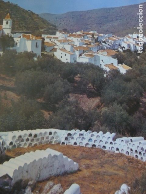 Coleccionismo: SAYALONGA MALAGA CEMENTERIO ANTIGUA LAMINA A&Ntilde;OS 50