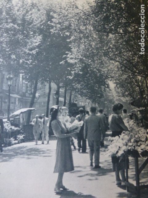 Collecting paper: BARCELONA LAS RAMBLAS ANTIGUA LAMINA HUECOGRABADO A&Ntilde;OS 40