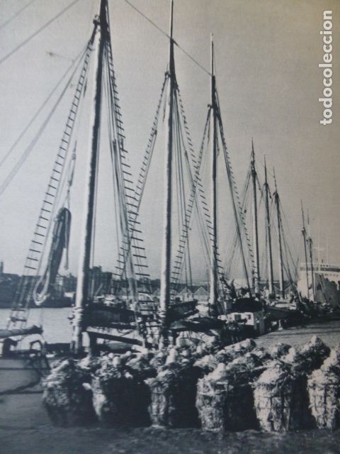 Coleccionismo: BARCELONA ESCENA EN EL PUERTO ANTIGUA LAMINA HUECOGRABADO A&Ntilde;OS 40