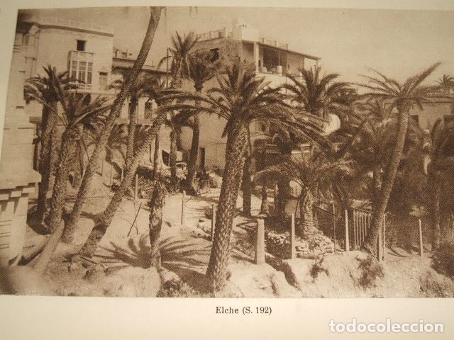 Collecting paper: ELCHE ALICANTE VISTA ANTIGUA LAMINA HUECOGRABADO 1929