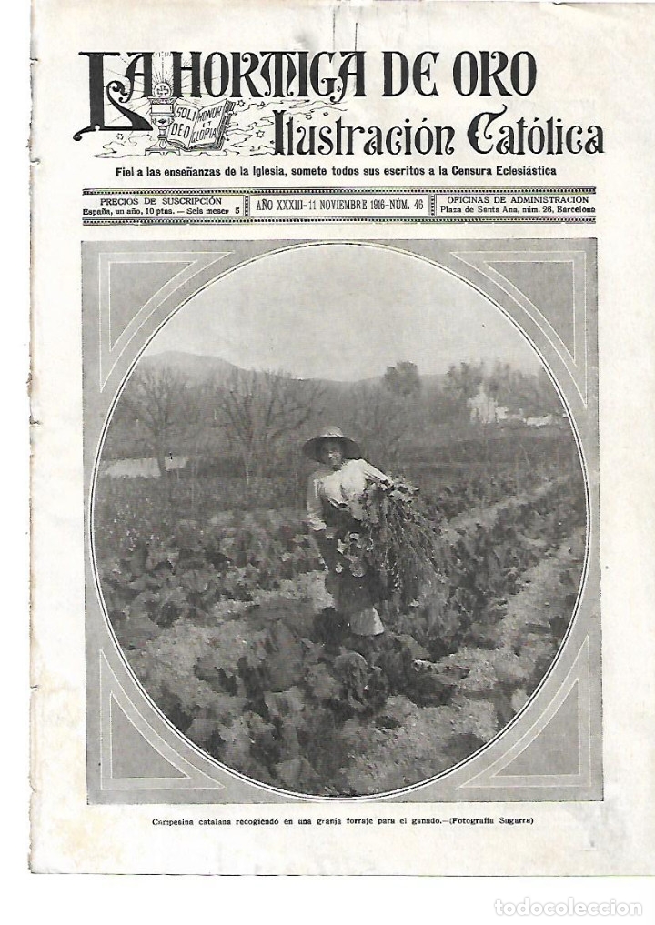 Collezionismo: A&Ntilde;O 1916 RECORTE PRENSA CAMPESINA CATALANA RECOGIENDO FORRAJE GANADO FOTOGRAFIA SAGARRA SEGARRA
