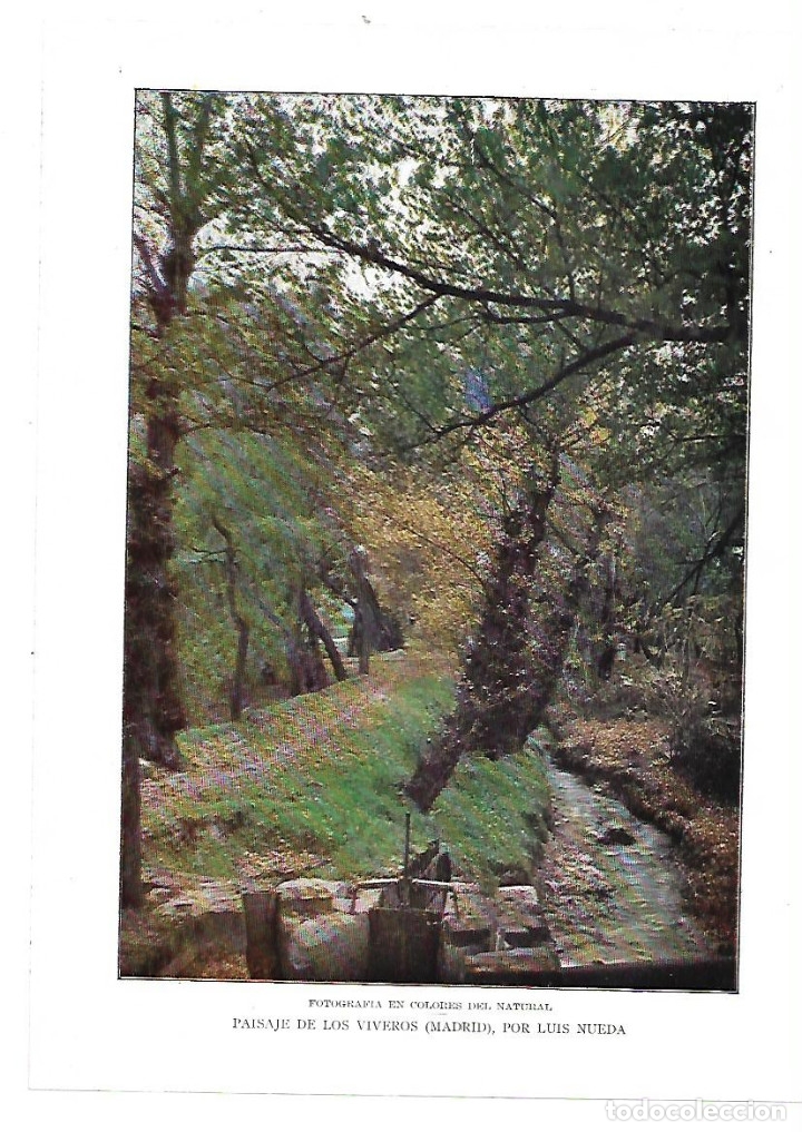 Collezionismo: A&Ntilde;O 1914 RECORTE PRENSA PAISAJE DE LOS VIVEROS MADRID FOTOGRAFIA DEL NATURAL EN COLOR LUIS NUEDA