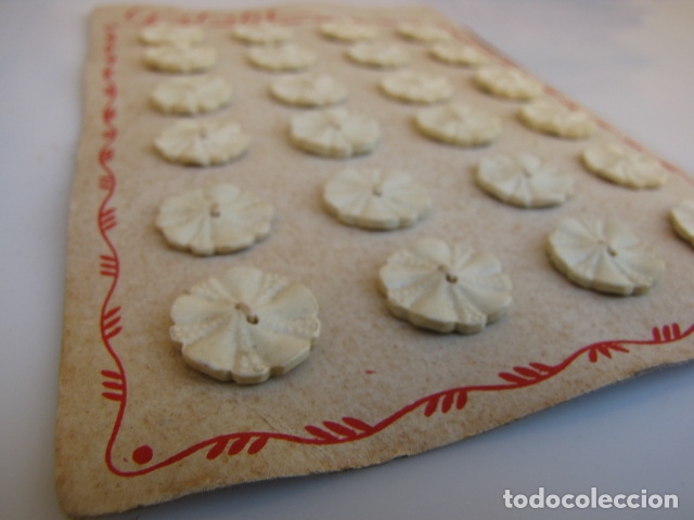 Coleccionismo: Blister completo con 24 botones crema galatita. art Nouveau
