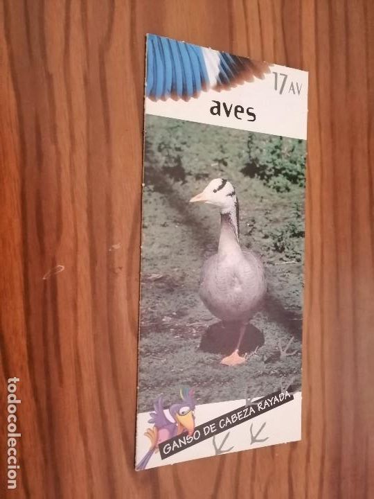 Collectionnisme: GANSO DE CABEZA RAYADA. AVES 17 AV. FICHA. NESTLE. JUNGLY. FORMATO MARCAPAGINAS. BUEN ESTADO