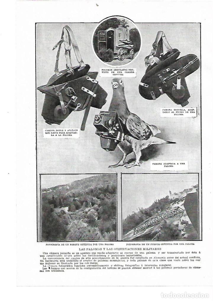 Sammelleidenschaft Papier: A&Ntilde;O 1914 RECORTE PRENSA GUERRA MUNDIAL EUROPA LAS PALOMAS OBSERVACIONES MILITARES CAMARA FOTOGRAFICA